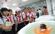 图片新闻