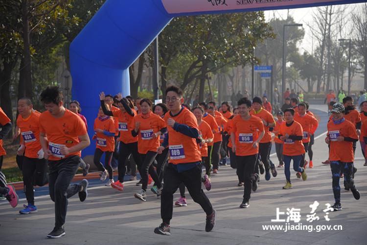 15d60c63a2aa414a8422f837b4cf7295.jpg