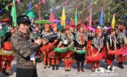 嘉定唯一上榜 顾萍获评市 “学习之星”