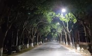 上观新闻:142盏！暖心路灯照亮乡村振兴路