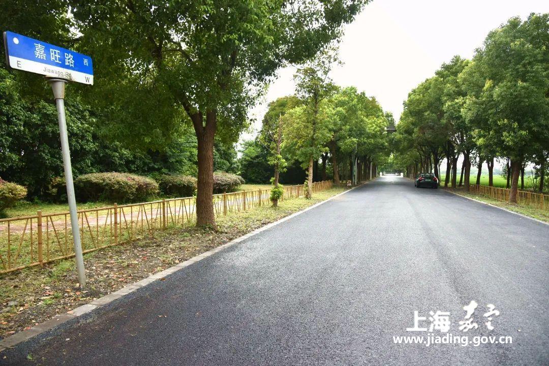 9db4d6b80eea45969b67549dcb28a1a9.jpg