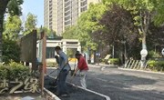 上观新闻：居民为节约时间频频横穿马路，能否增设斑马线？社区党支部“出手”了……